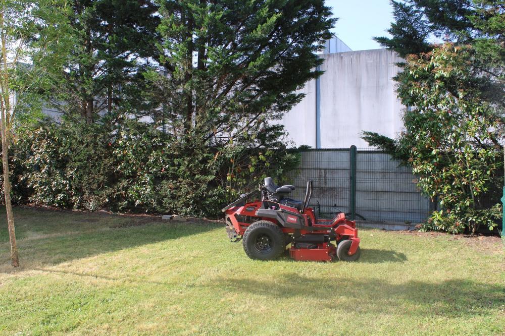 toro